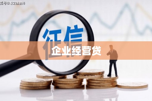 松溪企业经营贷